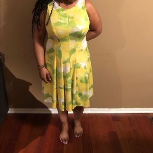 Brand new Multi color Sandra Darren size 12